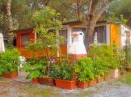 Casette in legno, Case Mobili, Preingessi Roulotte, Tettoie, Pedane, Coperture Roulotte Verande